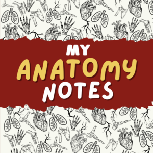 My Anatomy Notes